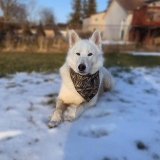 Grassroots Dog Bandana