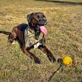 Grassroots Dog Bandana
