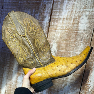 Ladies Ostrich Correc Aminos Cowboy Boot (5A)