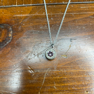 Silver Bullet Birthstone Necklace (wit Swarovski Crystal)